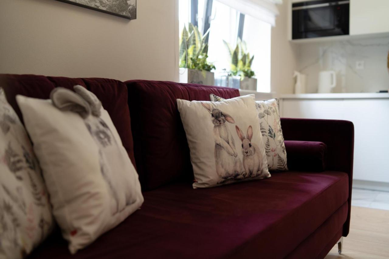 Altara Apartamenty Centrum - Free Parking 자코파네 외부 사진